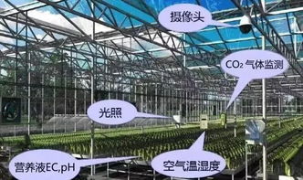 前沿探索 網(wǎng)絡(luò)技術(shù)驅(qū)動(dòng)下現(xiàn)代智慧農(nóng)業(yè)發(fā)展的五大趨勢